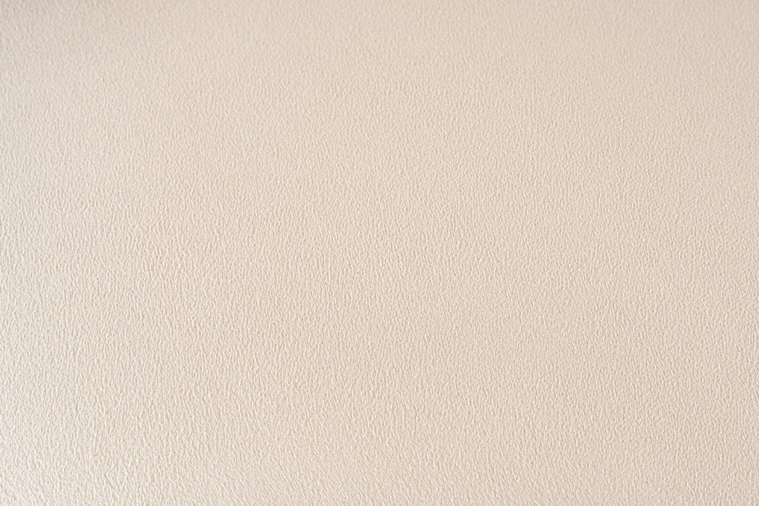 Sofa Lora 2-Sitzer Creme – Mikrofaser Velour Sofa Lora 2-Sitzer Creme – Mikrofaser Velour