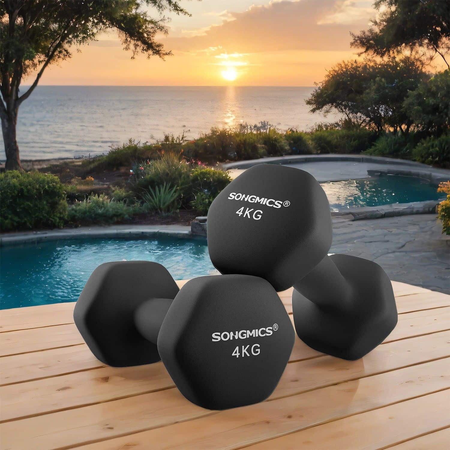 2er Set Hanteln 2 x 4 kg 2er Set Hanteln 2 x 4 kg