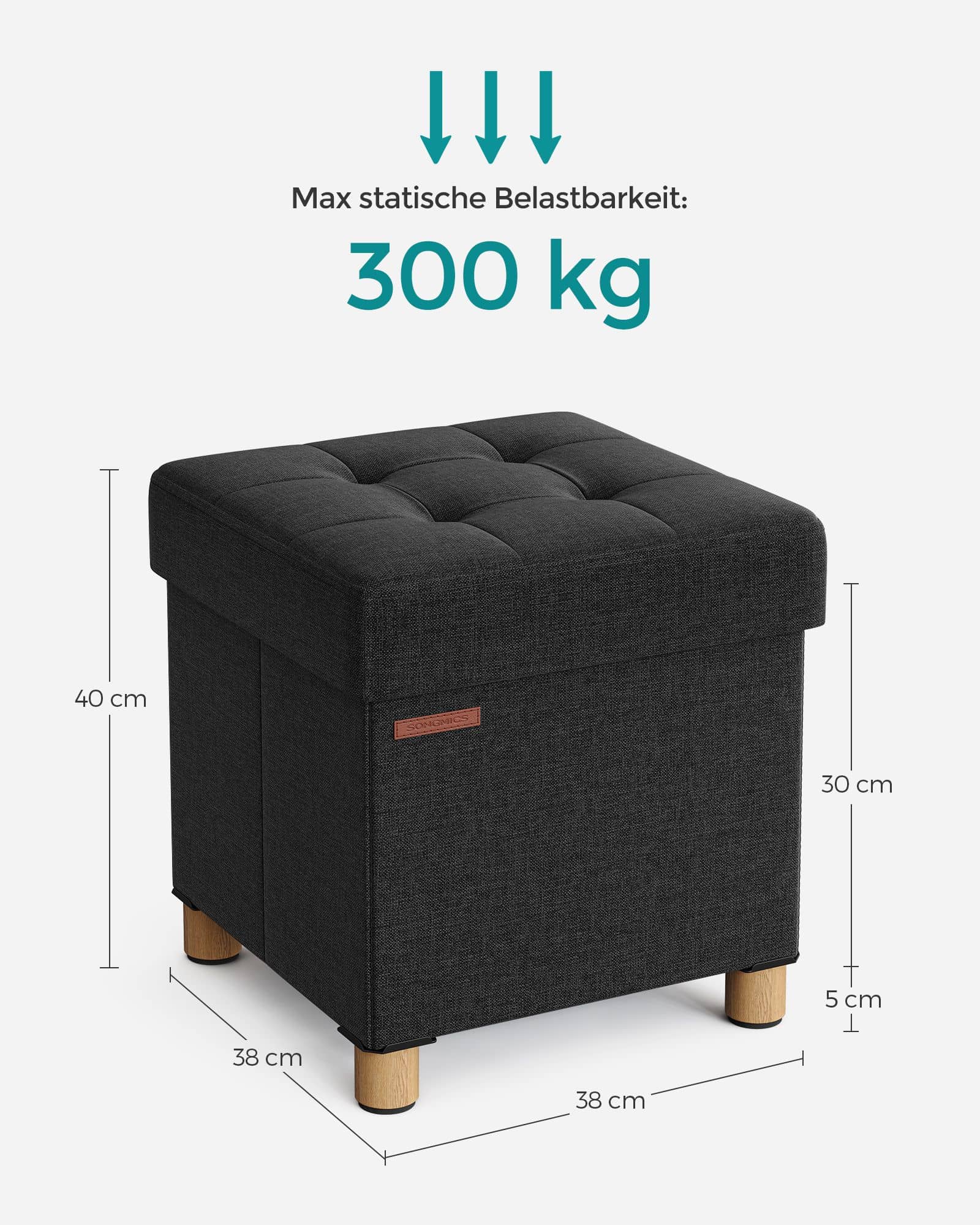 Sitzbank klappbar 38 x 38 x 40 cm mit Stauraum schwarz-LSF014B11 Sitzbank klappbar 38 x 38 x 40 cm mit Stauraum schwarz-LSF014B11