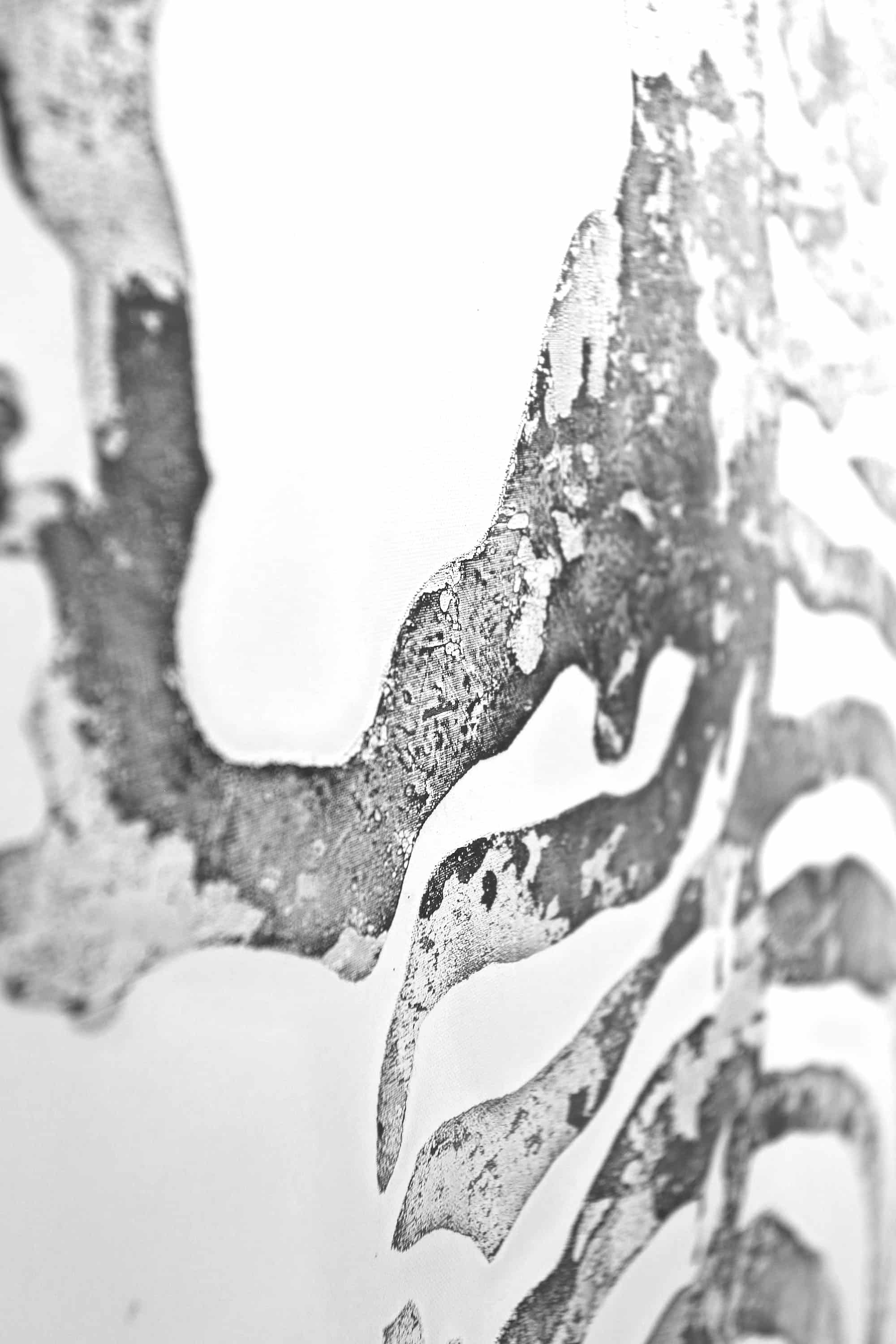 Öl-Wandbild Serengeti 50cm x 150cm Öl-Wandbild Serengeti 50cm x 150cm