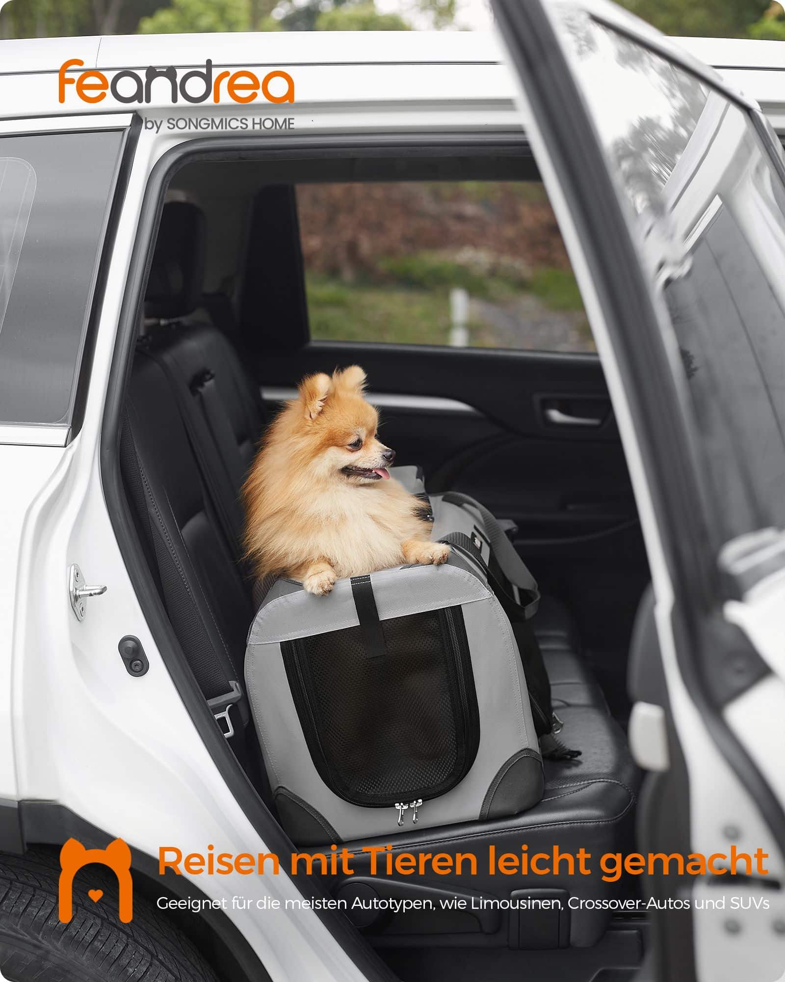 Hundebox S aus Oxford-Gewebe mit Griffen Hundebox S aus Oxford-Gewebe mit Griffen