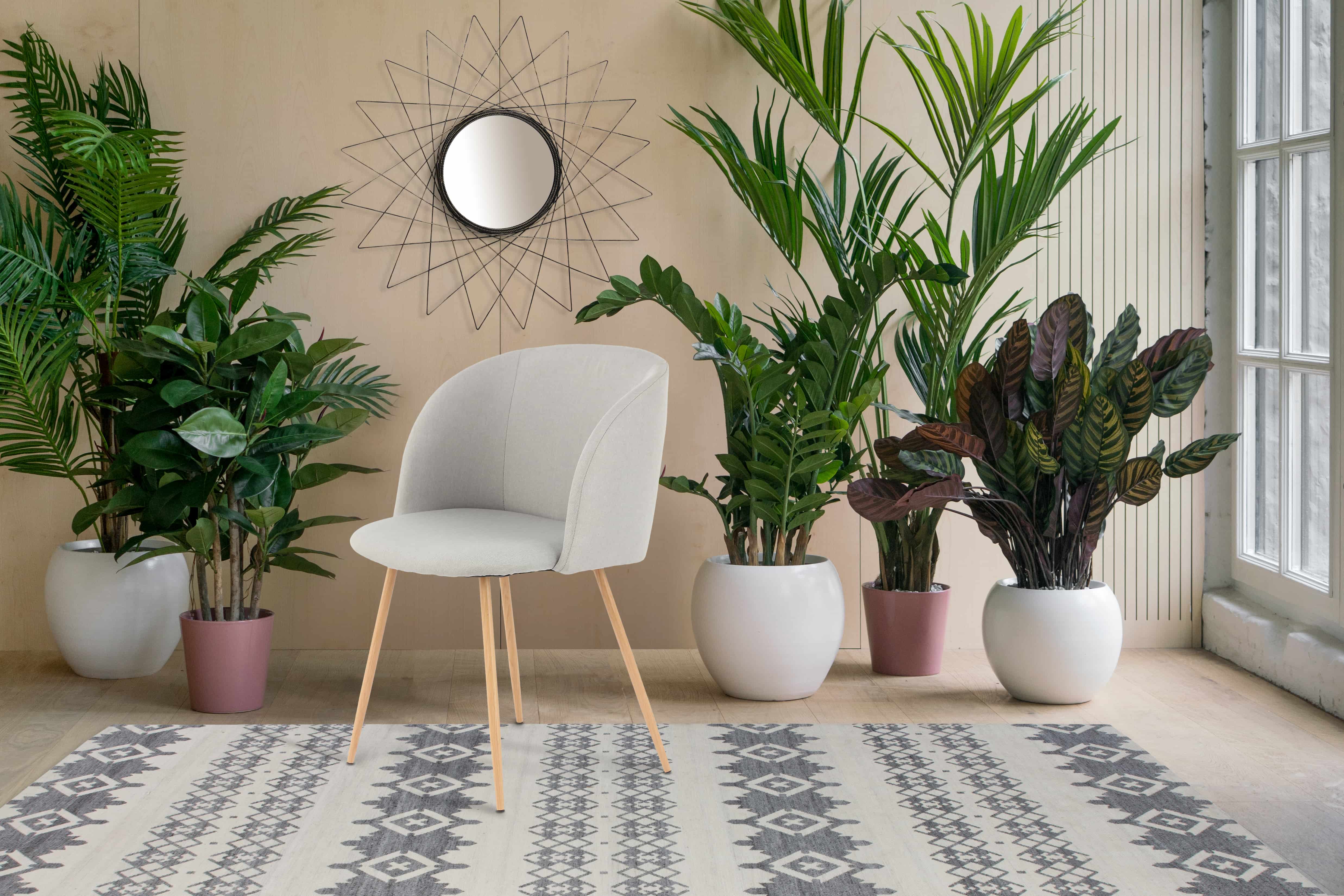 Stuhl Celina 210 2er-Set Grau Stuhl Celina 210 2er-Set Grau