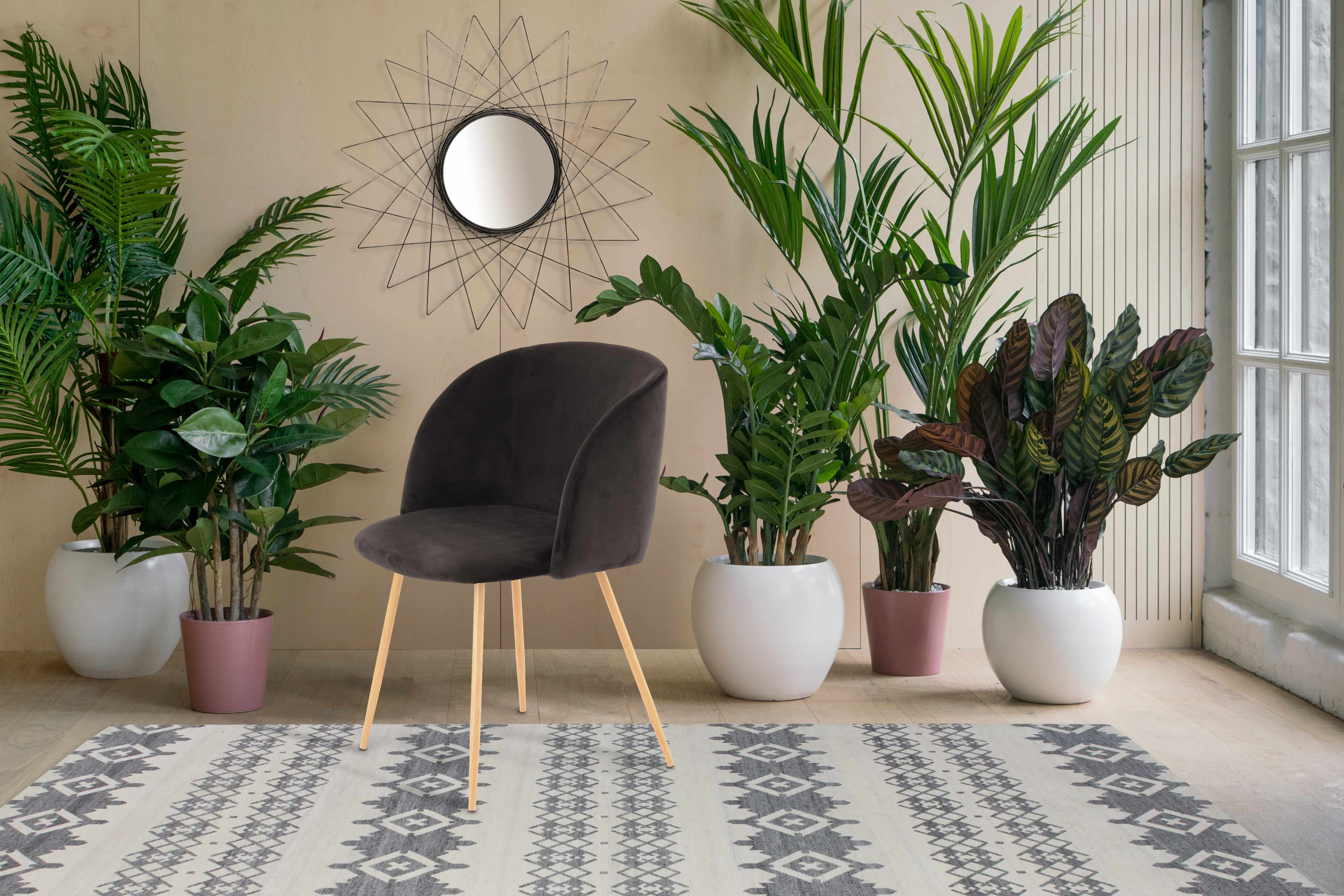 Stuhl Celina 110 2er-Set Schwarz Stuhl Celina 110 2er-Set Schwarz