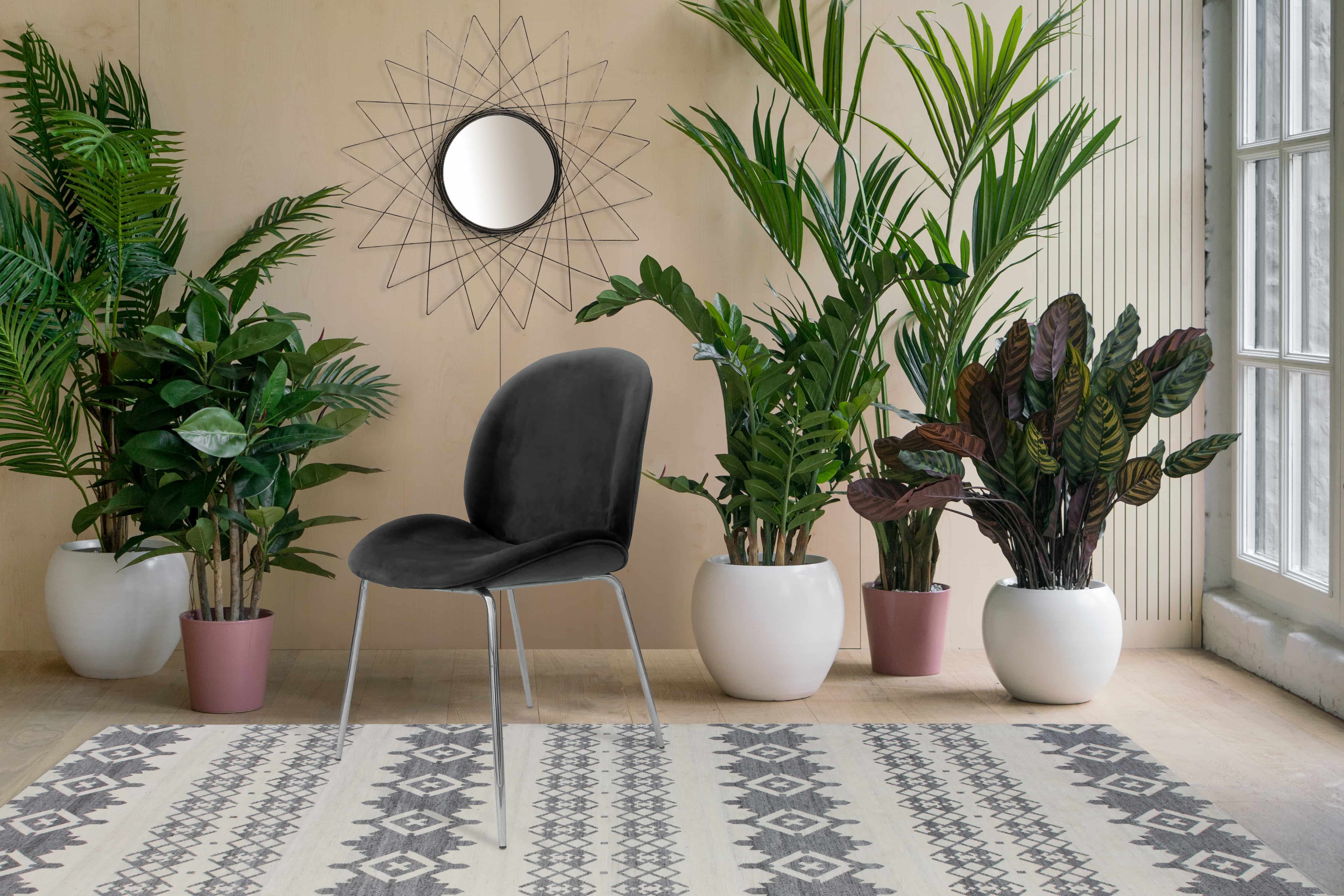 Stuhl Charlize 110 2er-Set Grau / Chrom