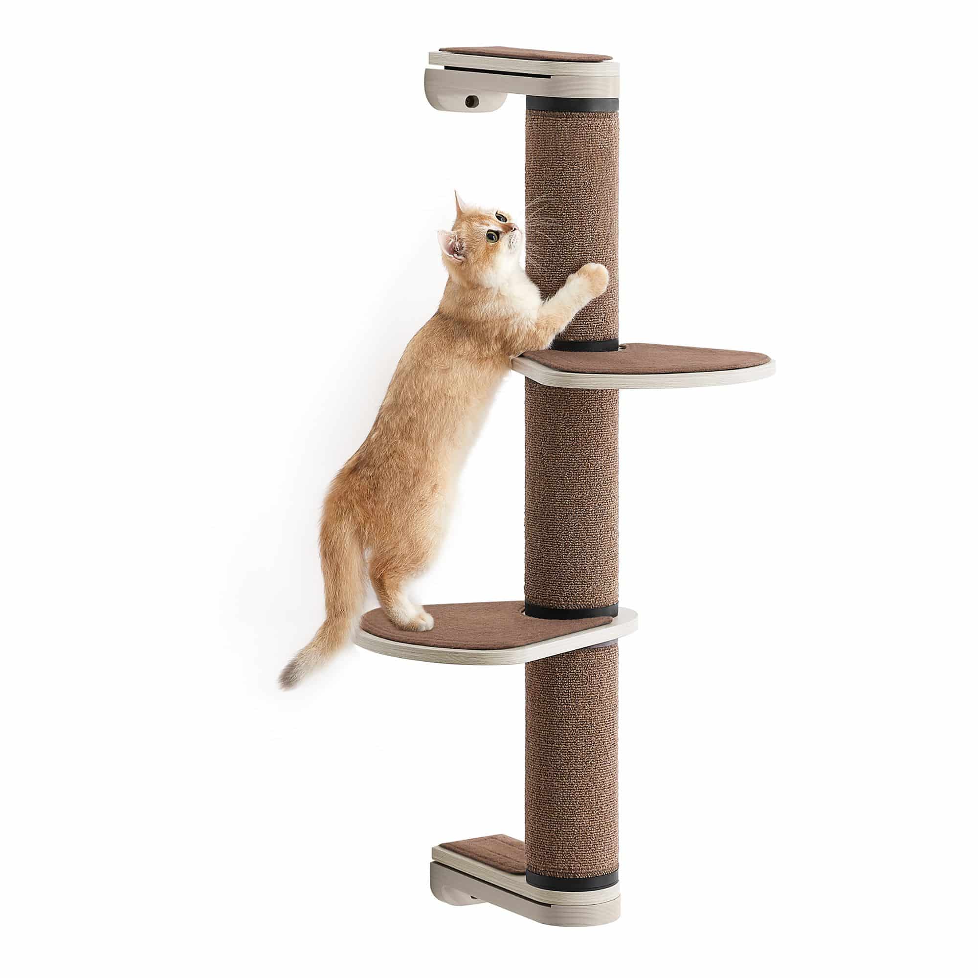 Clickat Kollektion - Nr. 006 Kratzsäule zur Wandmontage