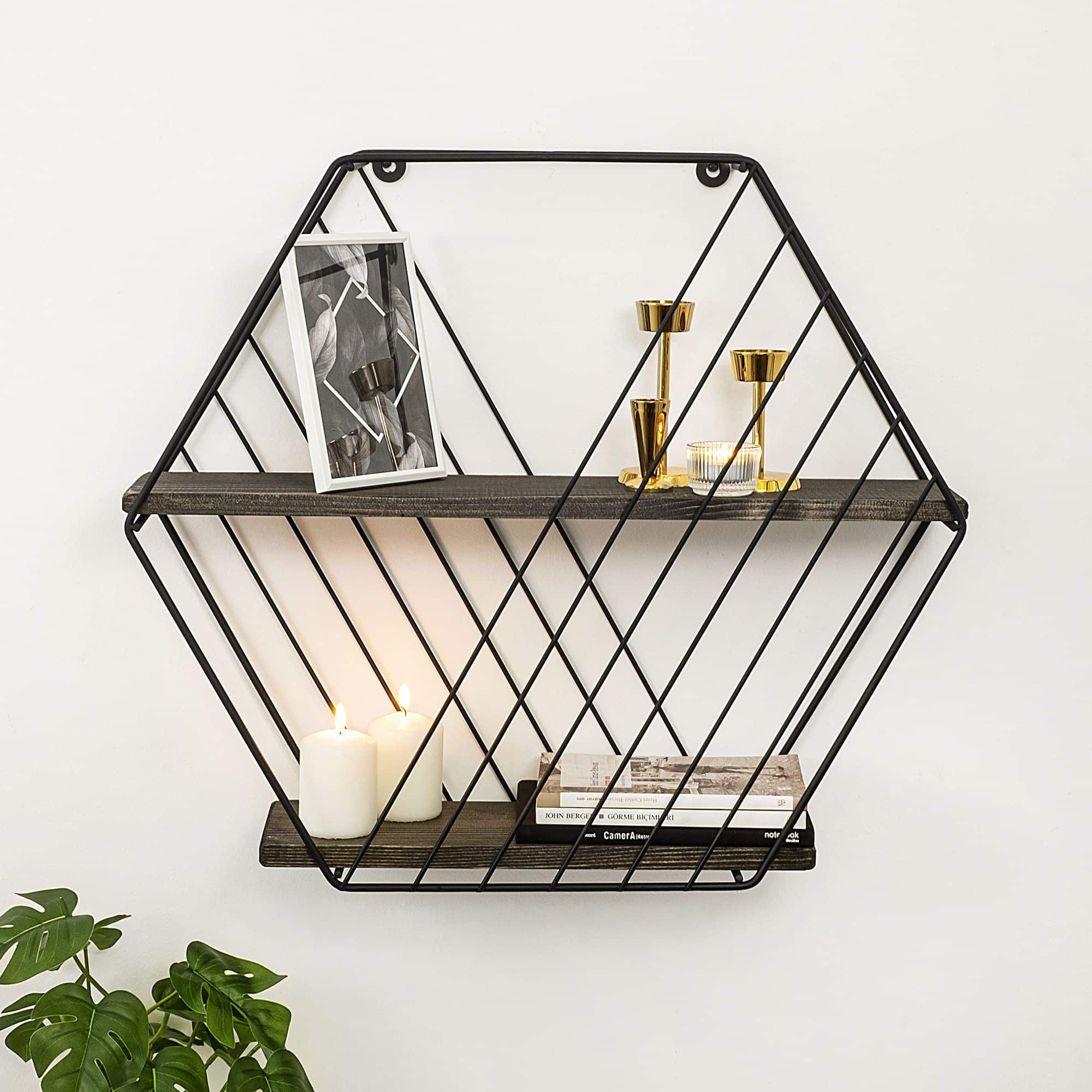 Anemone Vulgaris - Wandregal Anemone Vulgaris - Wandregal