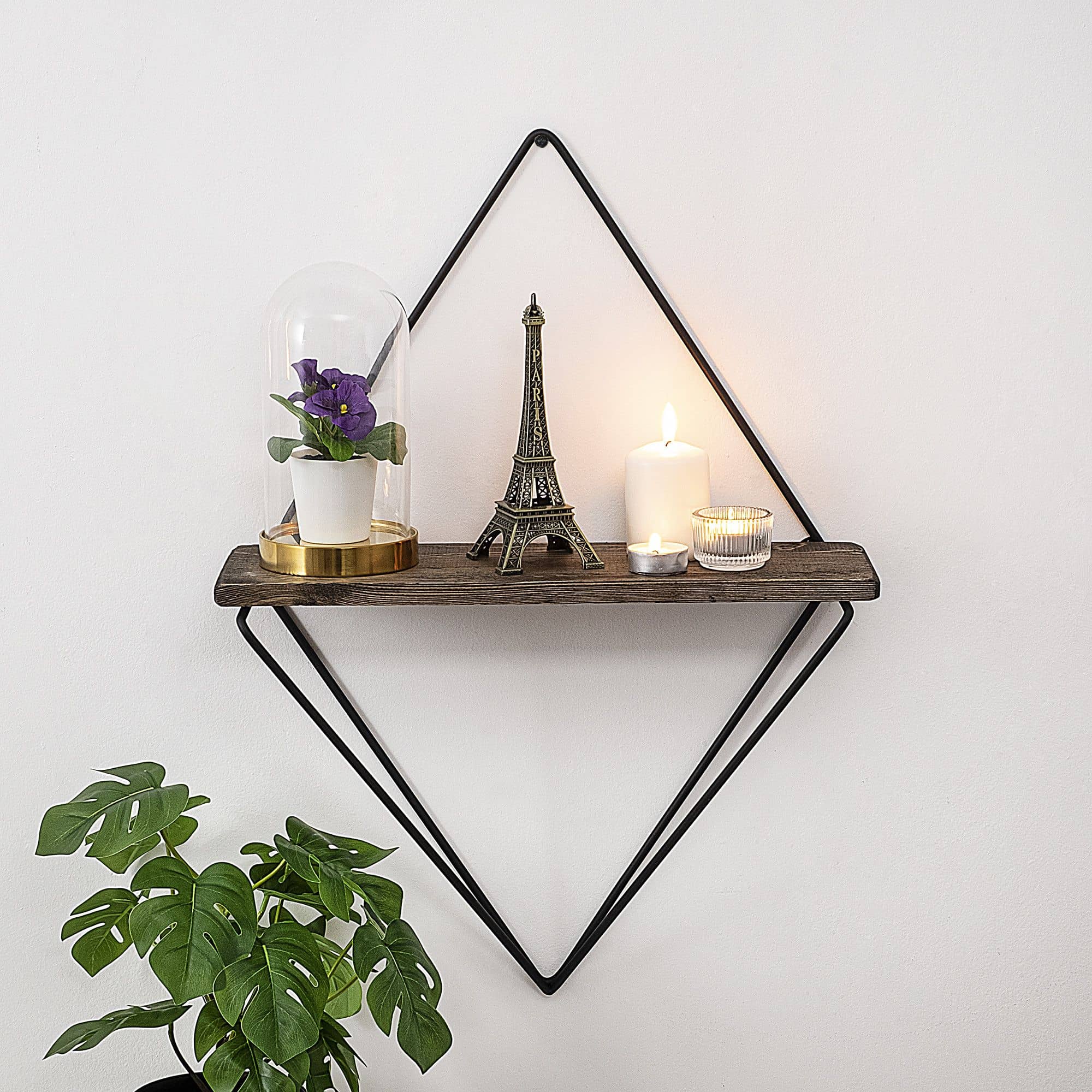 Paeonia Turcica - Wandregal