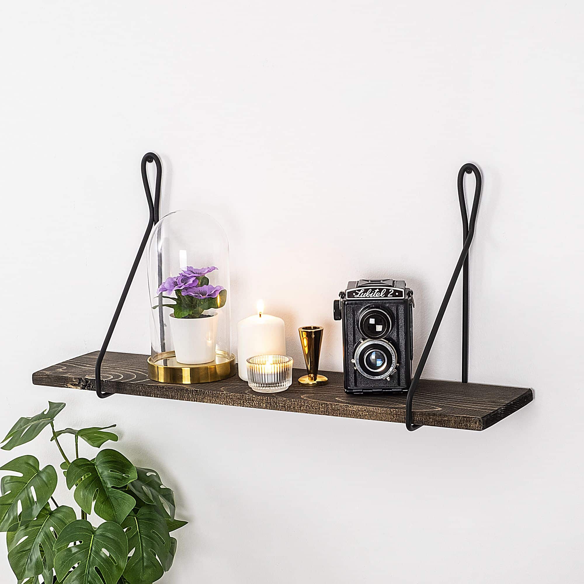 Amaryllis - Wandregal