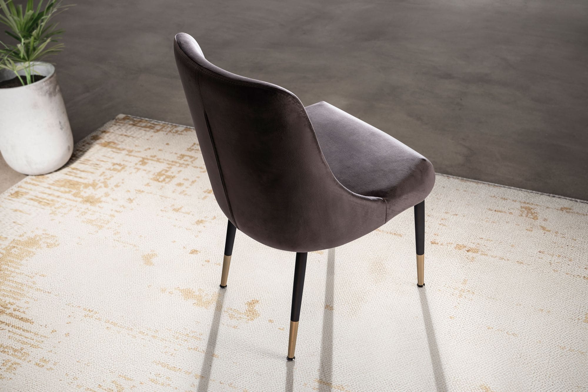 Esszimmerstuhl Samt Grau Küchenstuhl mit schwarzen Beinen