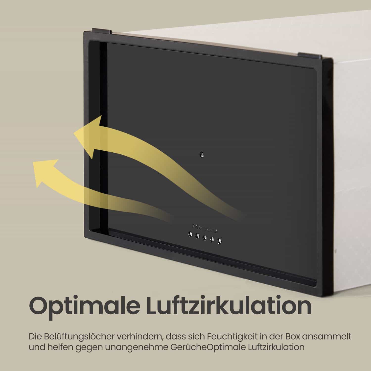 Schuhboxen, aus Kunststoff, mit Tür