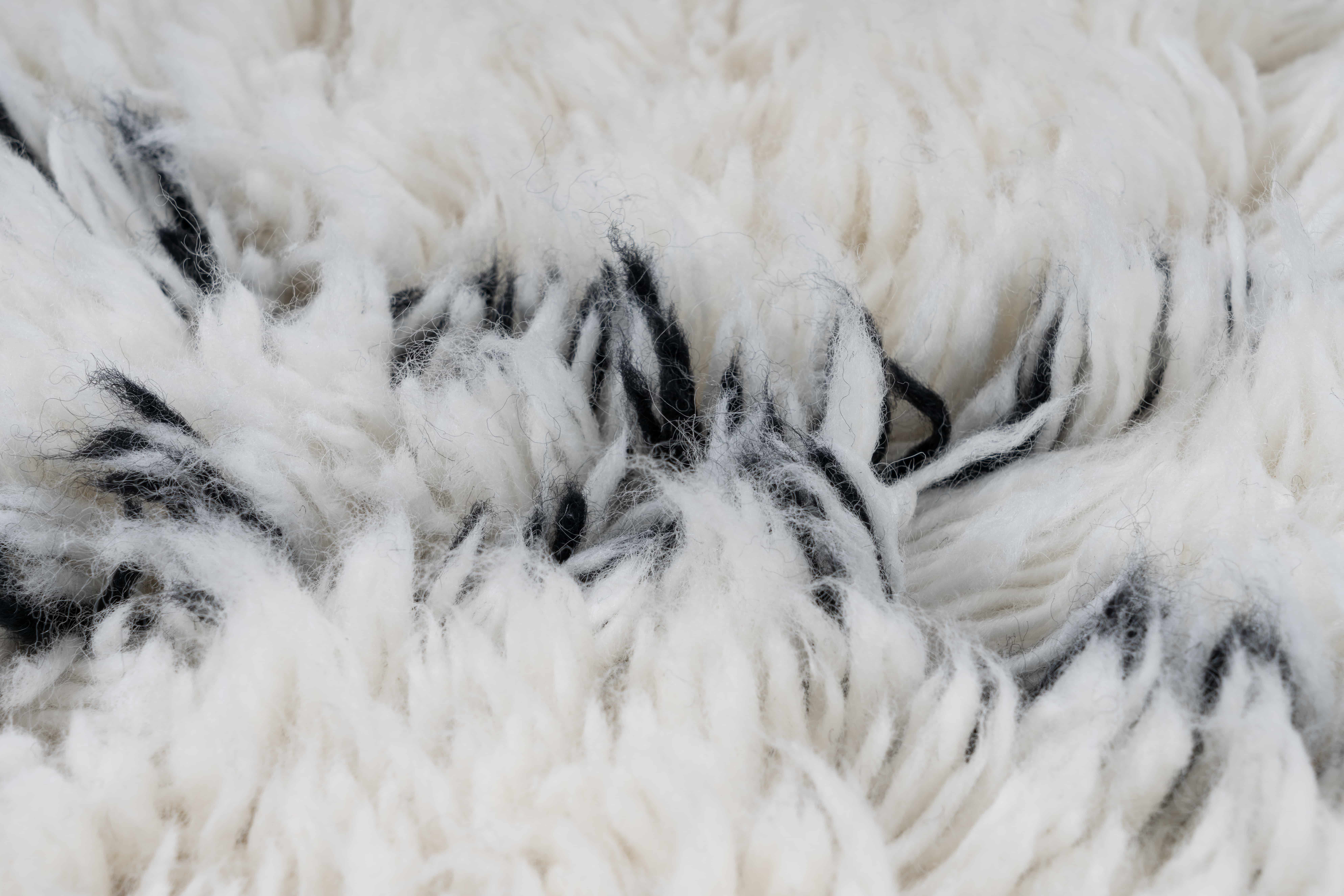 Casablanca 120 Natur / Elfenbein 80cm x 150cm Casablanca 120 Natur / Elfenbein 80cm x 150cm