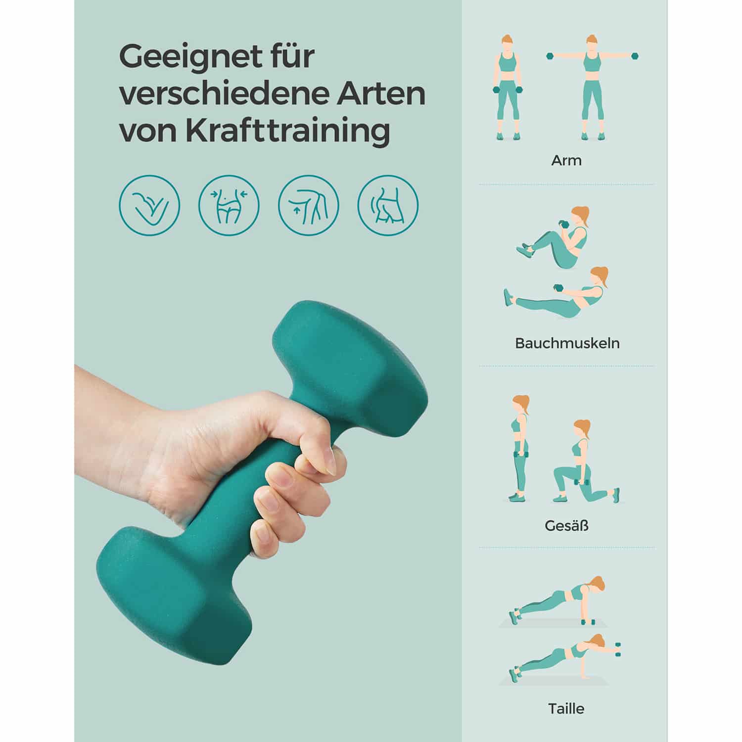 Hanteln, 2er Set, 2 x 3 kg