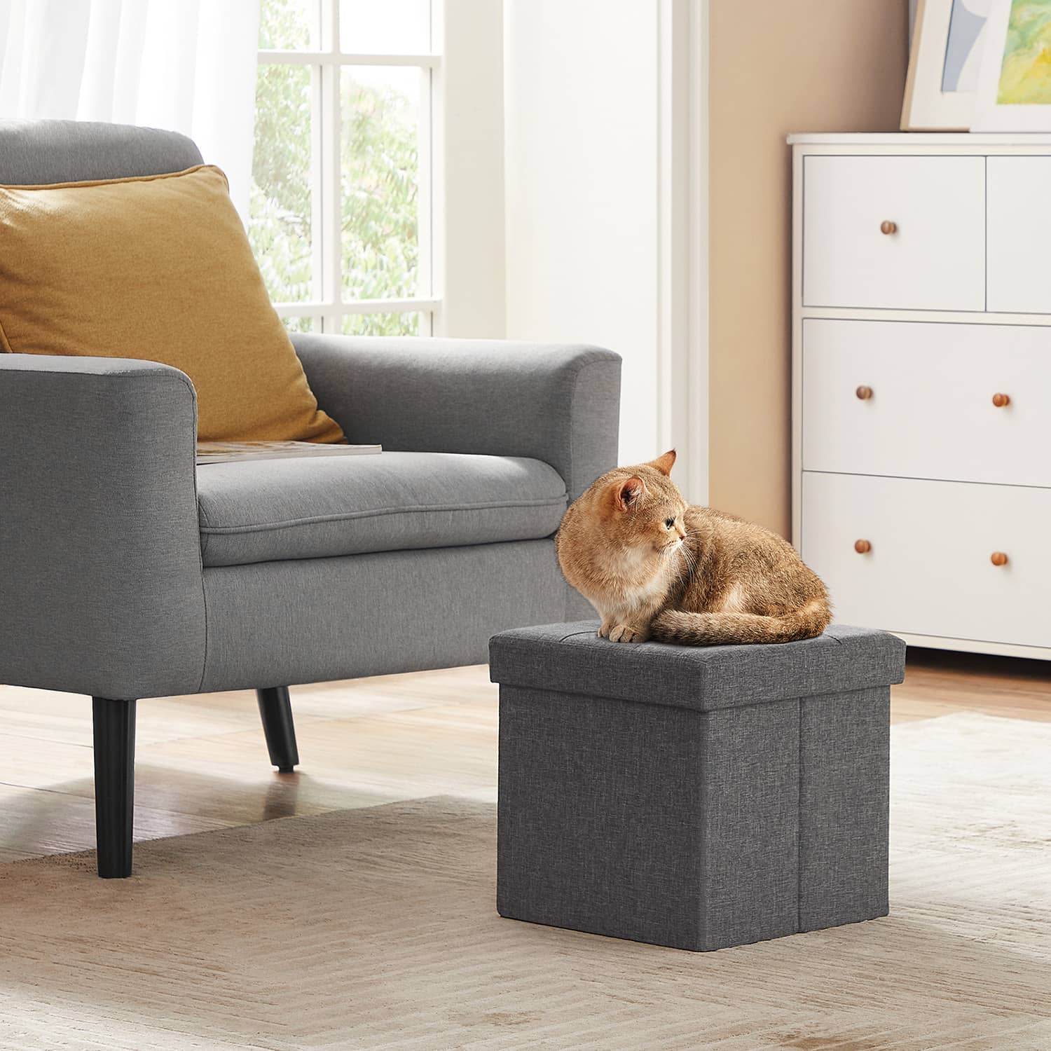 Sitzhocker mit Stauraum 30 x 30 x 30 cm-LSF028G01 Sitzhocker mit Stauraum 30 x 30 x 30 cm-LSF028G01