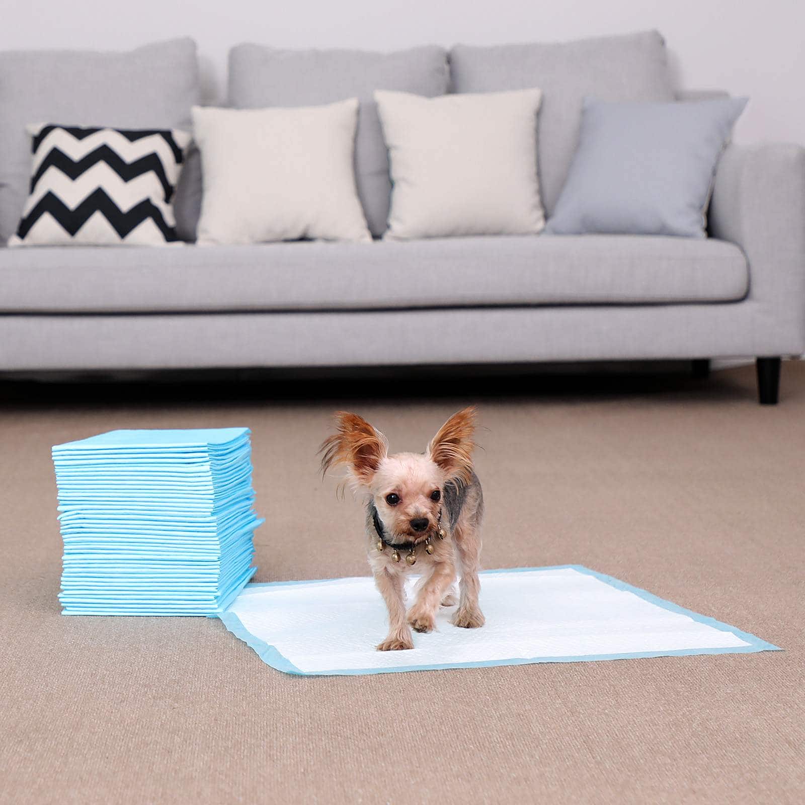 Welpen-Hygienepads 60 x 90 cm 100 Stk-PTD90B