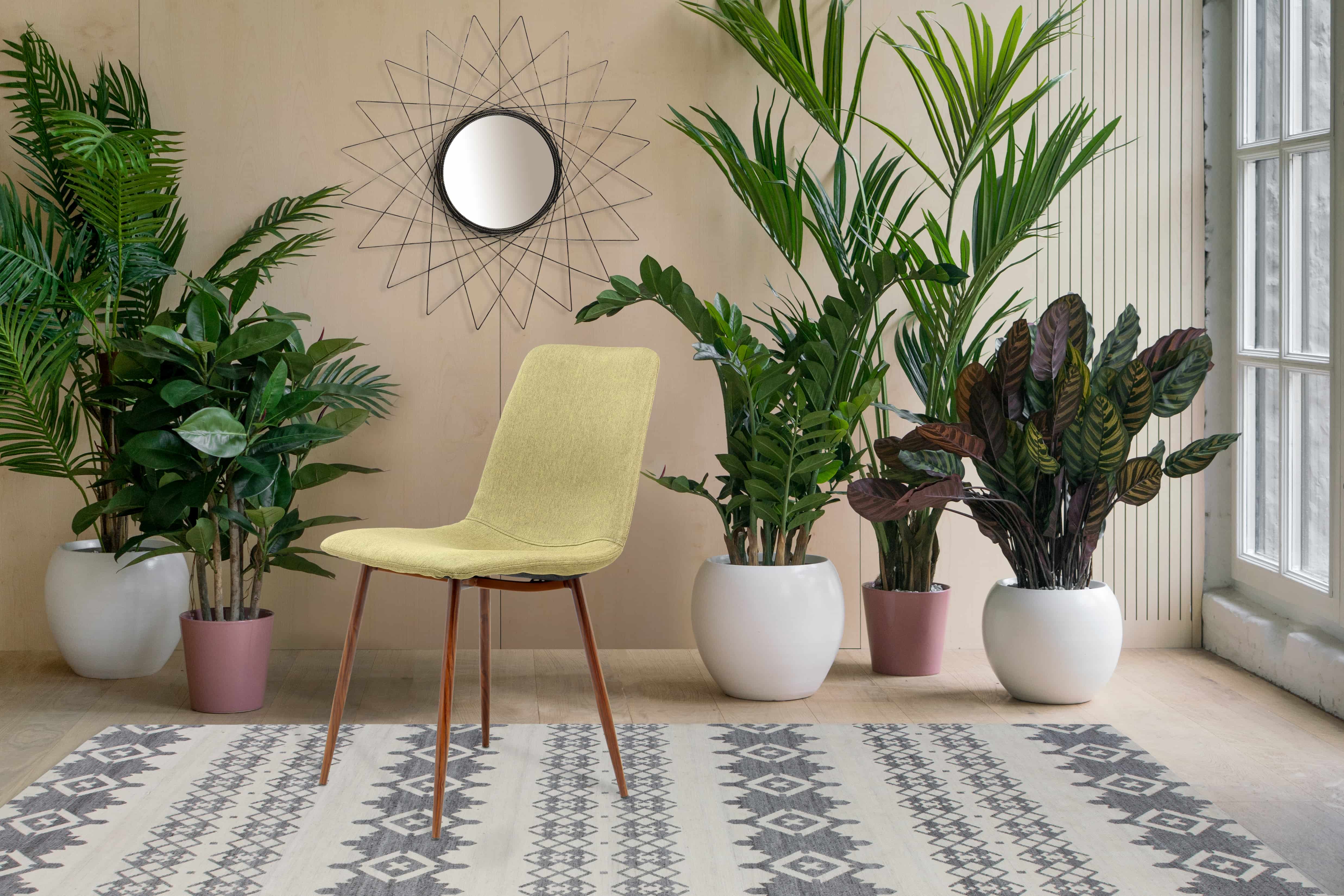 Stuhl Maggie 110 2er-Set Gelb / Grün Stuhl Maggie 110 2er-Set Gelb / Grün