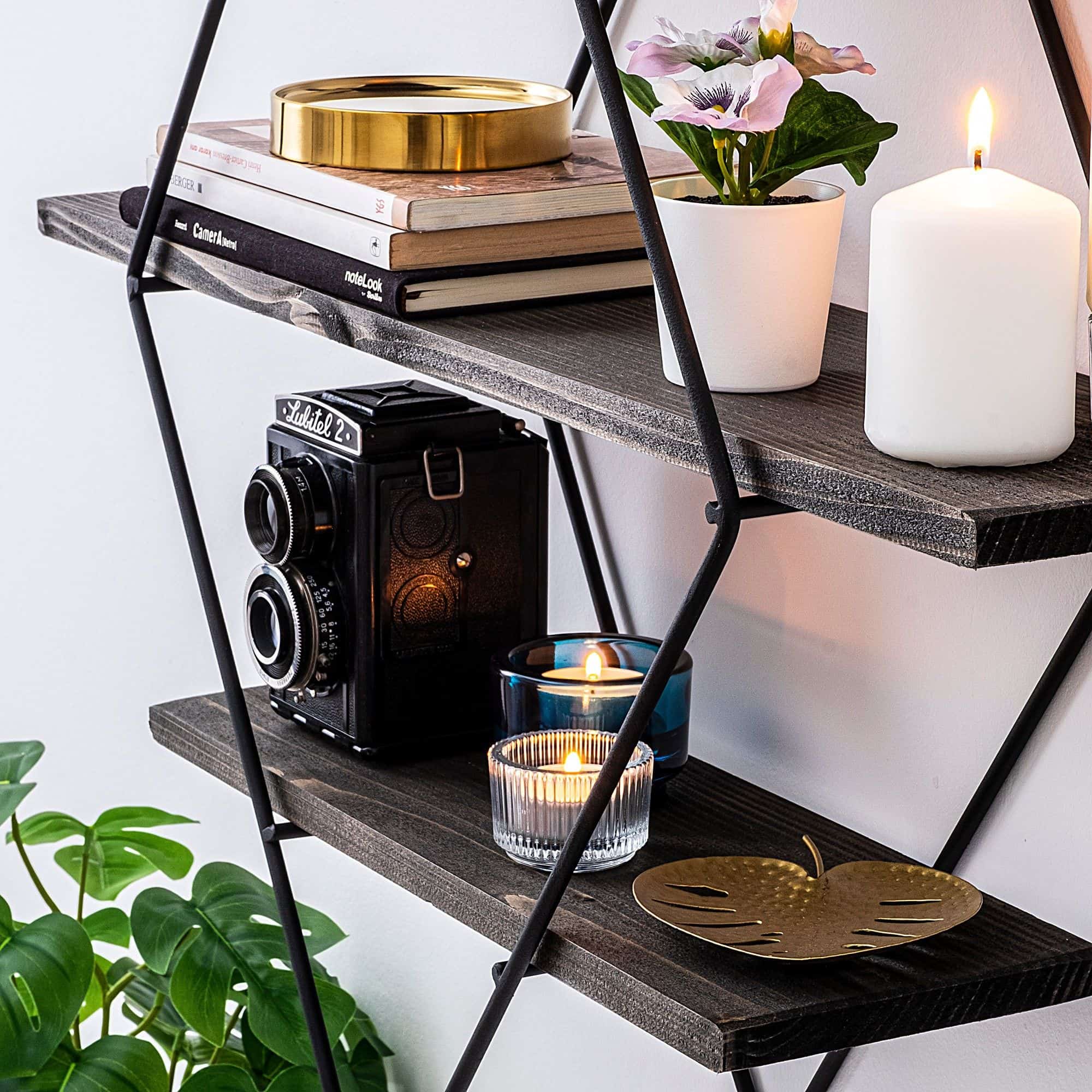 Erysimum - Wandregal Erysimum - Wandregal