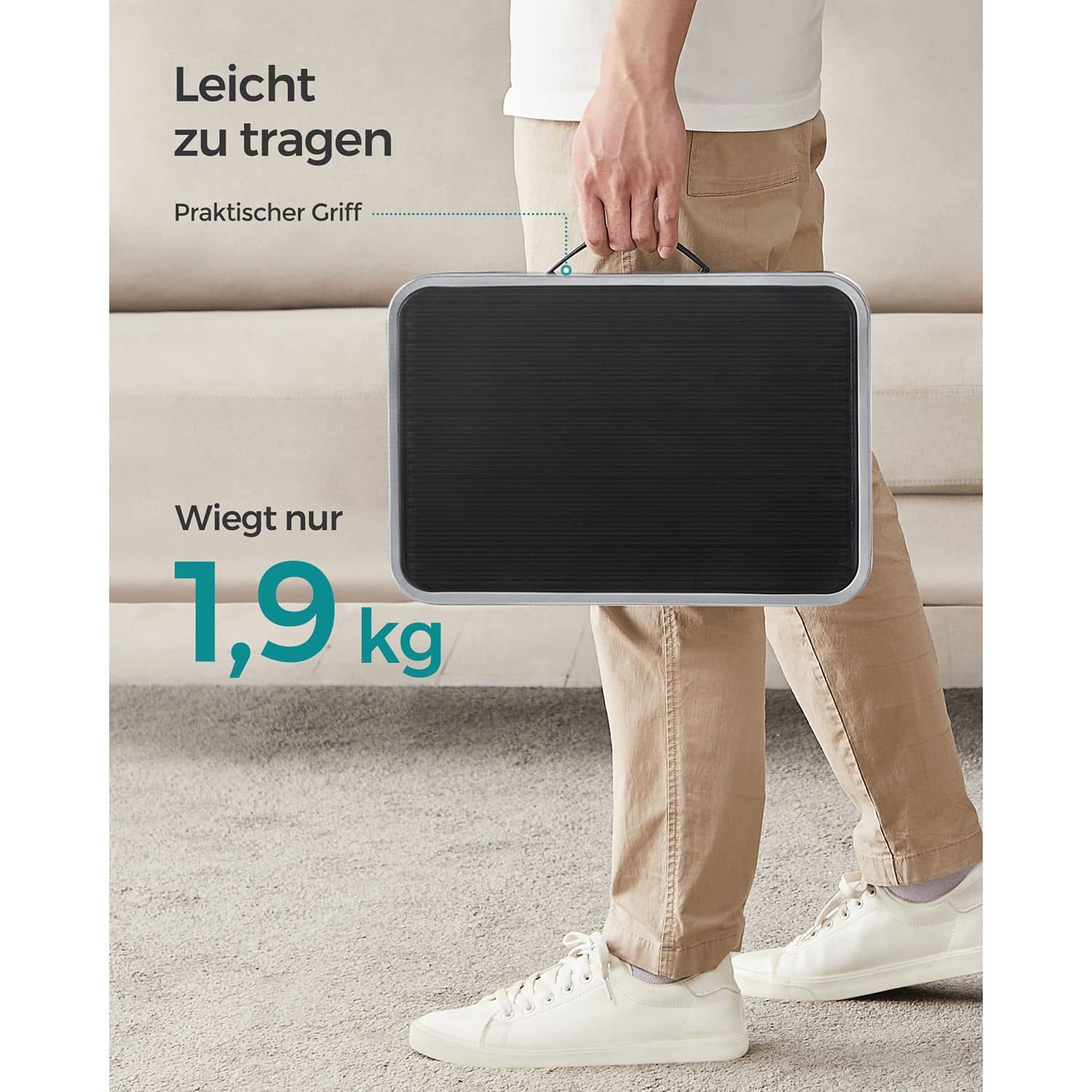 einstufige Leiter aus Stahl-GSL001G01 einstufige Leiter aus Stahl-GSL001G01