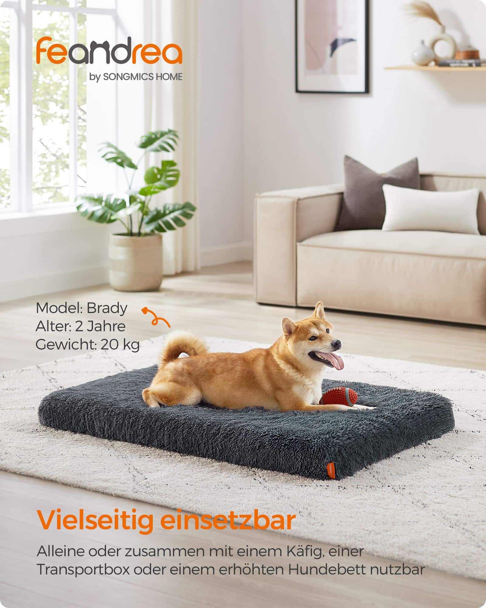 Hundebett Plüsch 110 x 73 x 10 cm Dunkelgrau XL Hundebett Plüsch 110 x 73 x 10 cm Dunkelgrau XL