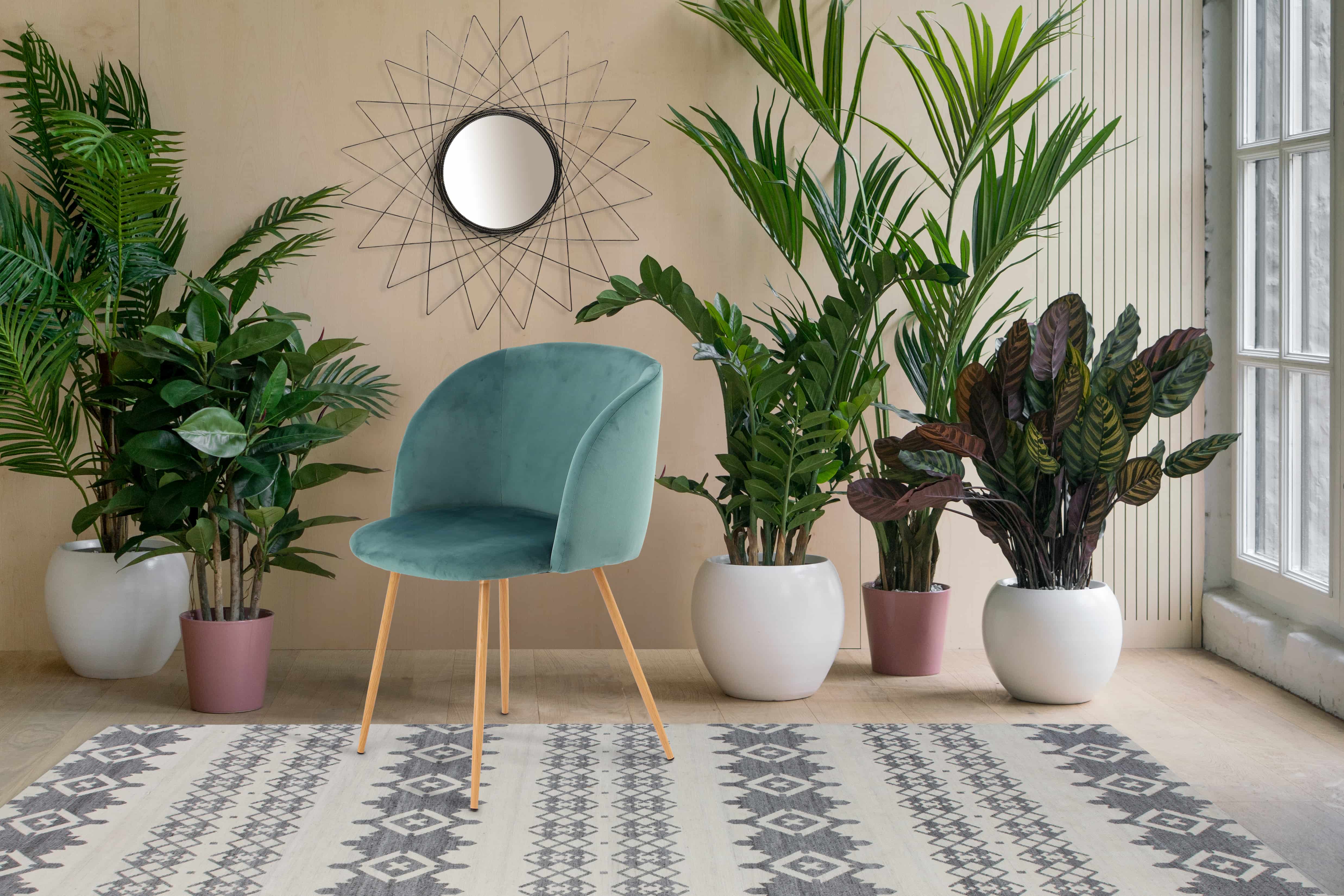 Stuhl Celina 110 2er-Set Grün Stuhl Celina 110 2er-Set Grün