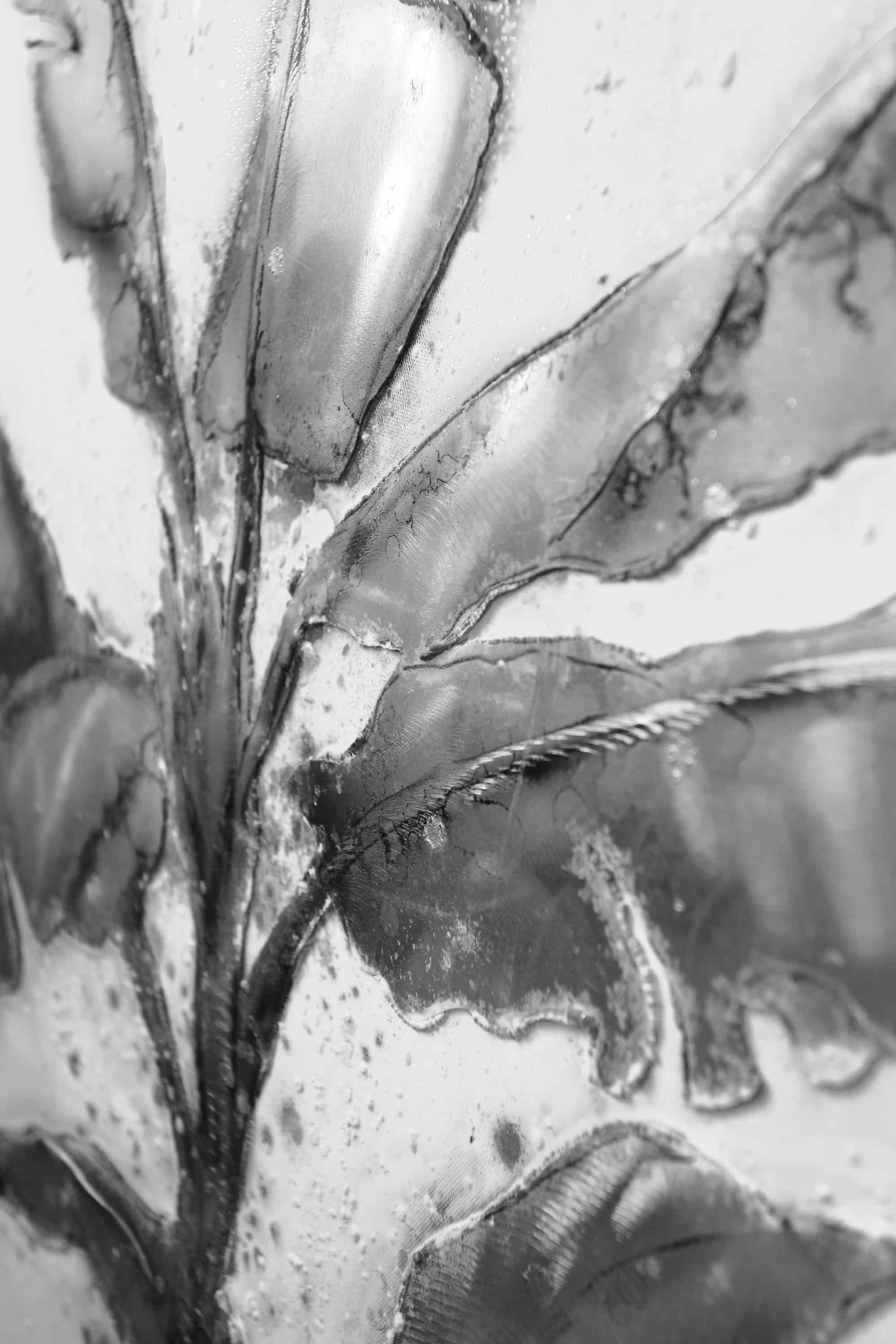 Aluminium Wandbild Palme II 80cm x 100cm Aluminium Wandbild Palme II 80cm x 100cm