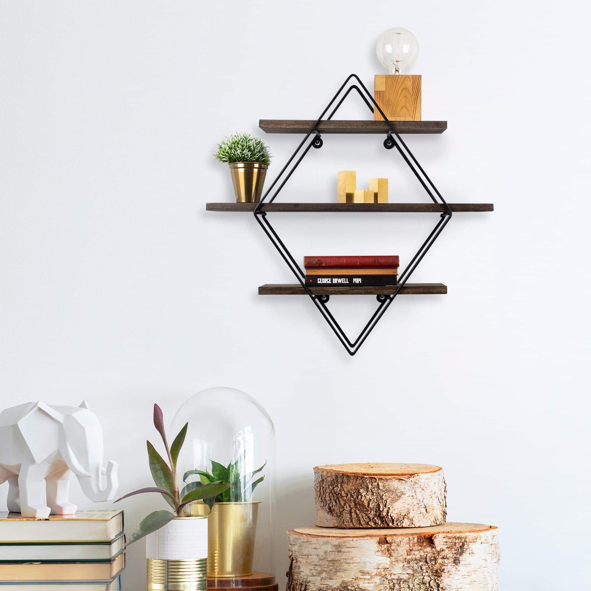 Erysimum - Wandregal Erysimum - Wandregal