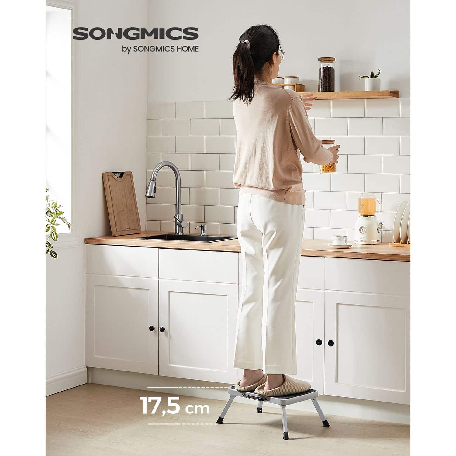 einstufige Leiter aus Stahl-GSL001G01 einstufige Leiter aus Stahl-GSL001G01