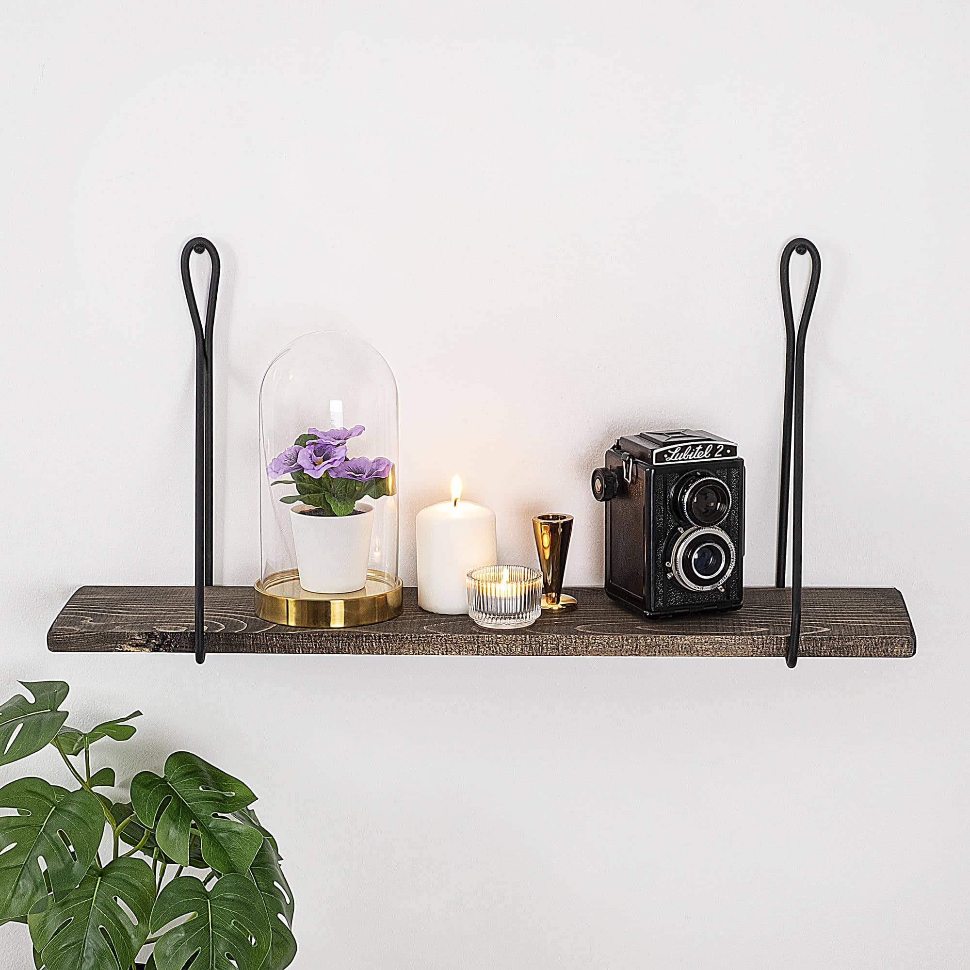 Amaryllis - Wandregal