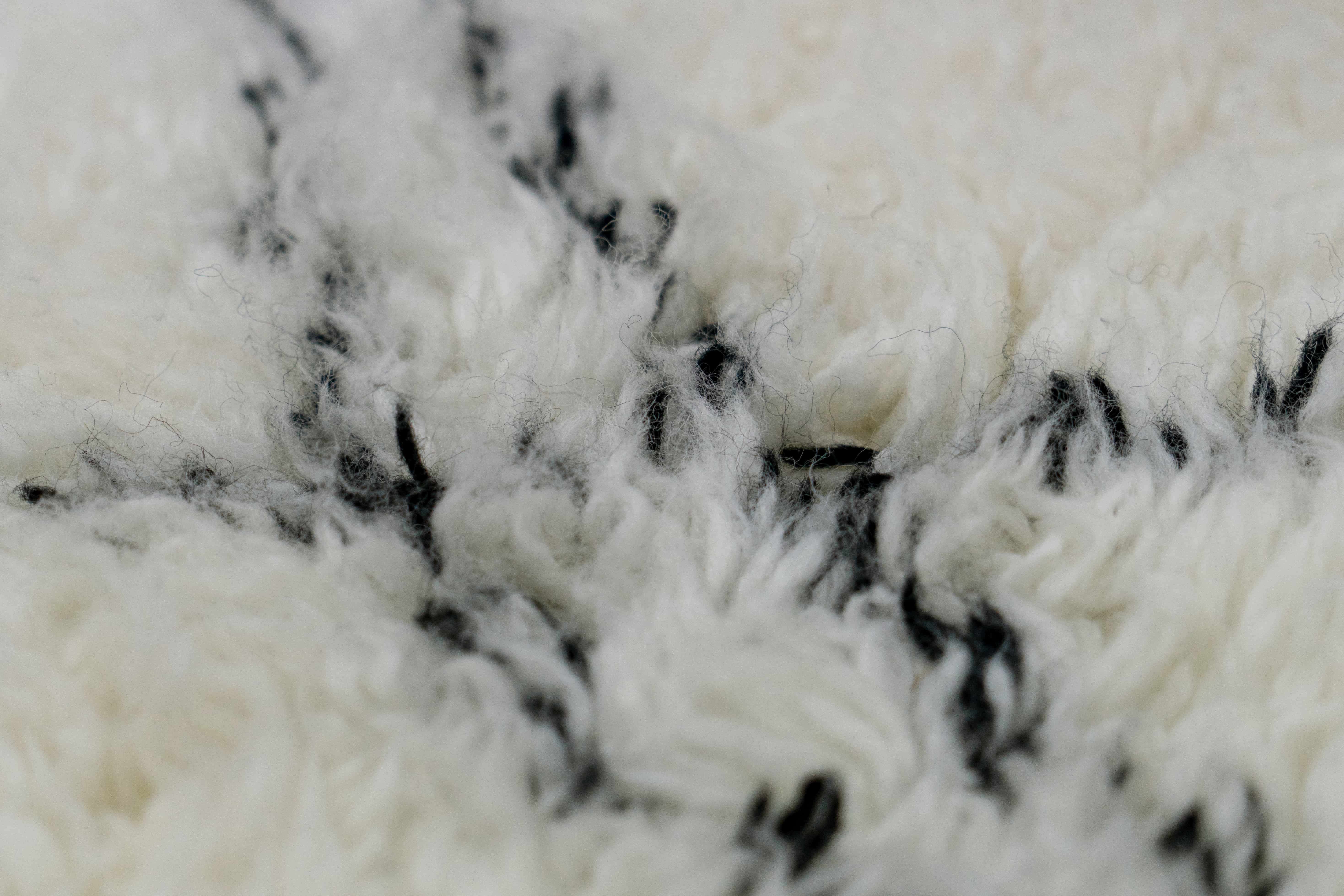 Casablanca 130 Natur / Elfenbein 200cm x 290cm Casablanca 130 Natur / Elfenbein 200cm x 290cm