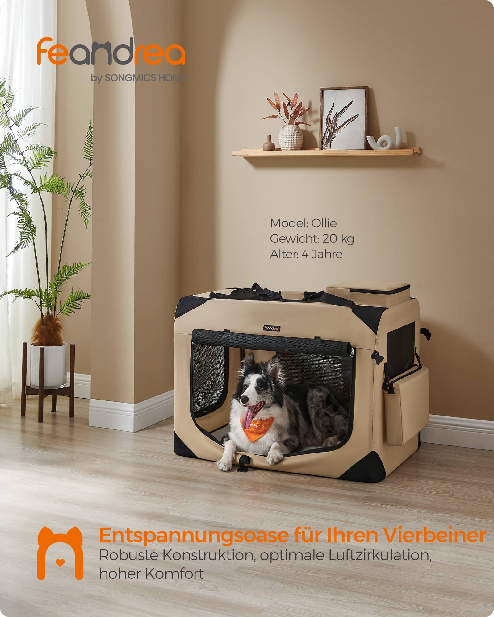Hundebox XXL aus Oxford-Gewebe mit Griffen kamelbraun Hundebox XXL aus Oxford-Gewebe mit Griffen kamelbraun