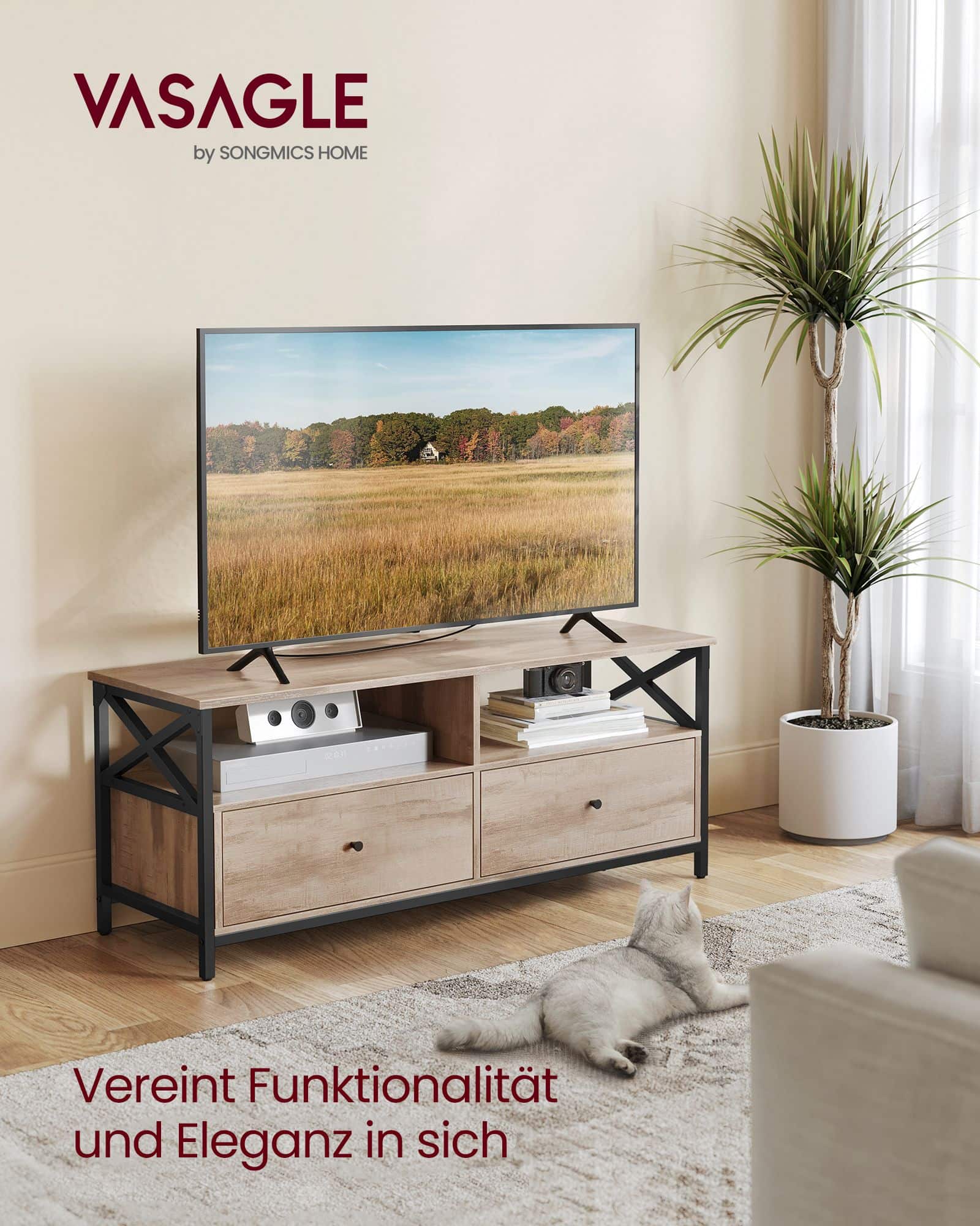 TV-Schrank 120 cm lang mit 2 Schubladen und 2 offenen Fächern-LTV300B50 TV-Schrank 120 cm lang mit 2 Schubladen und 2 offenen Fächern-LTV300B50